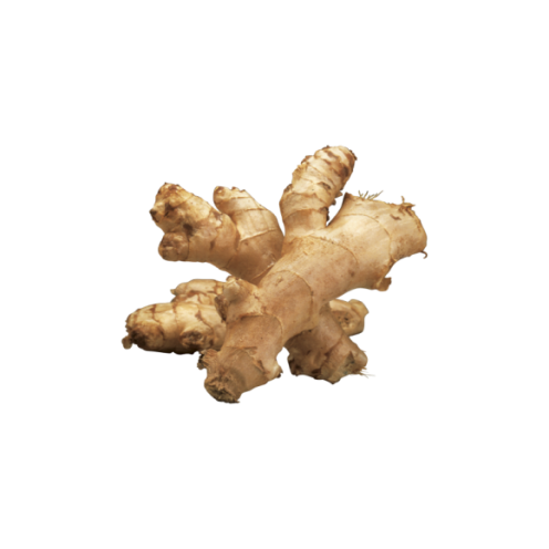 Ginger Root