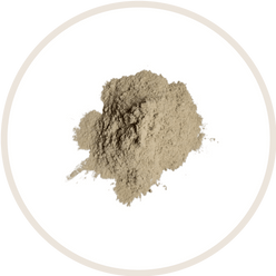Ashwagandha Extract
