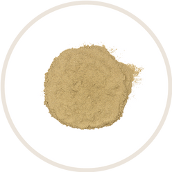 Valerian Root Extract