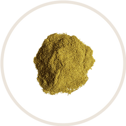 Chamomile Root Extract