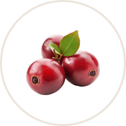 Cranberry Extract