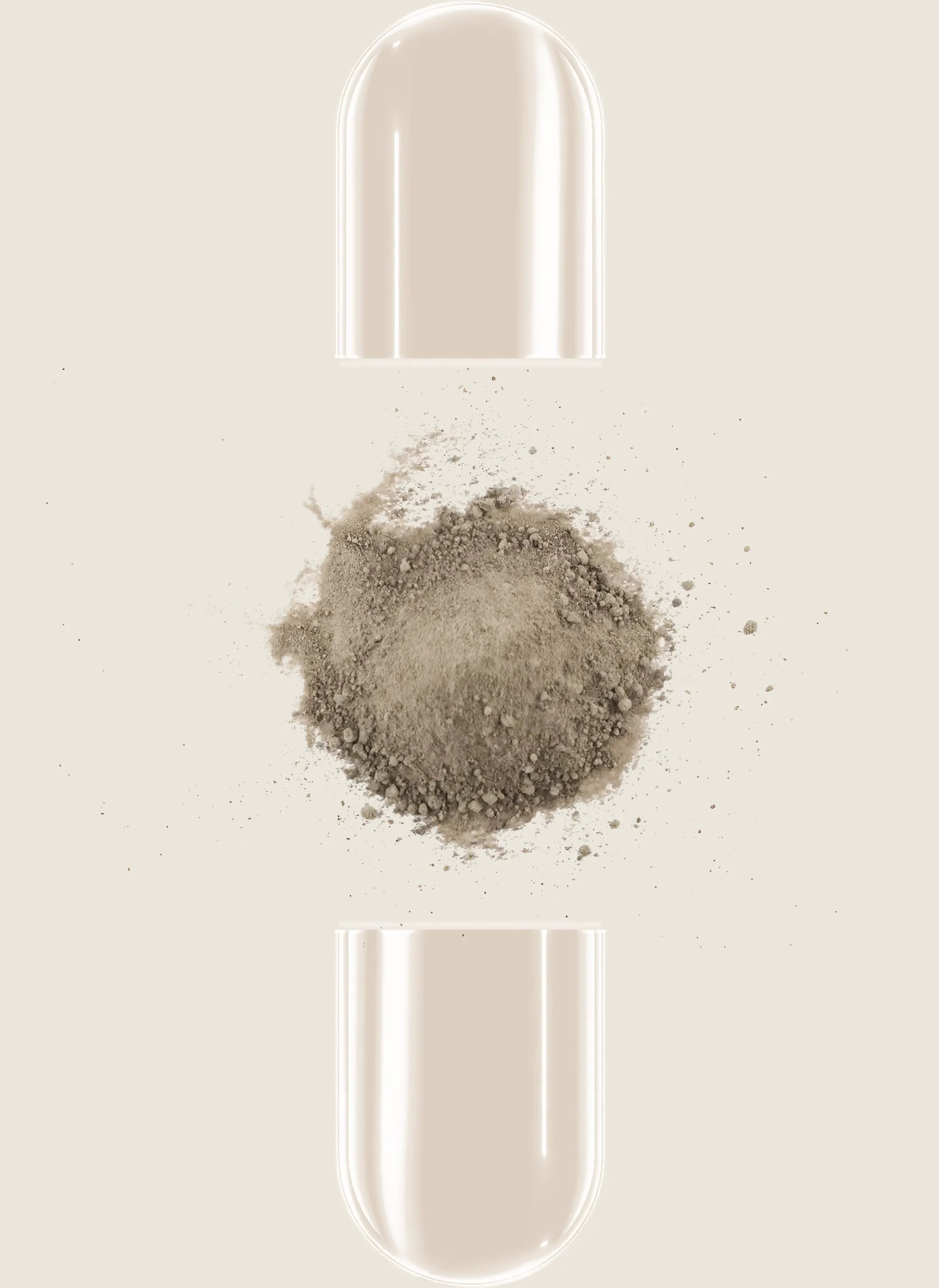 Supplement