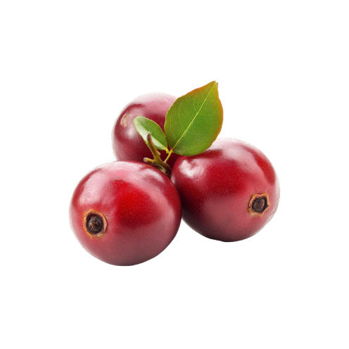 Cranberry Extract